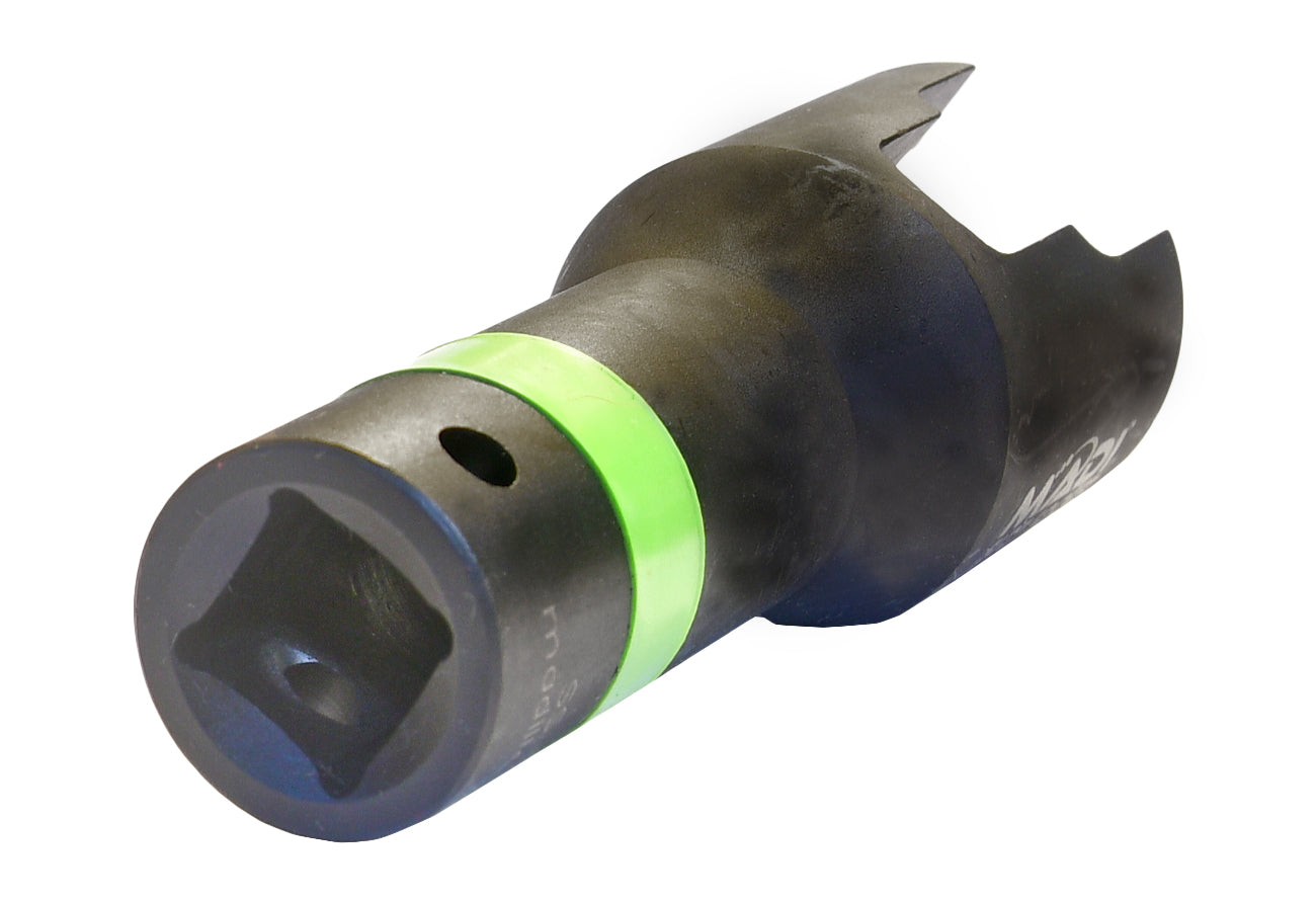 MADI Slot Socket™ Plus SS-2